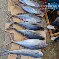 фото из отзыва ID 2745089