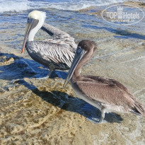 фото из отзыва ID 2745224