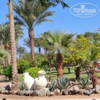 фото из отзыва ID 2745237