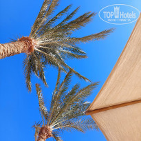 фото из отзыва ID 2745237