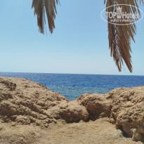 фото из отзыва ID 2745238