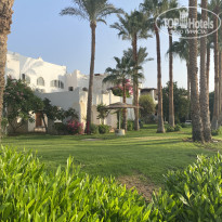 фото из отзыва ID 2745234