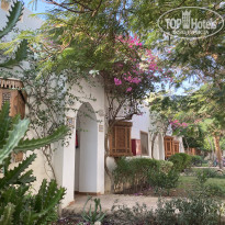 фото из отзыва ID 2745234