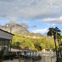 фото из отзыва ID 2745246