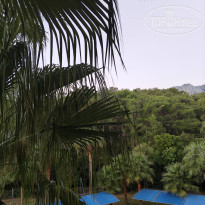 фото из отзыва ID 2745246