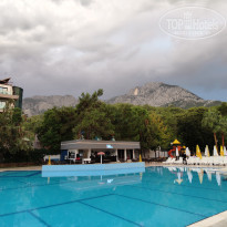 фото из отзыва ID 2745246