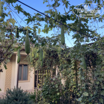 фото из отзыва ID 2745285