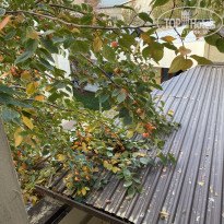 фото из отзыва ID 2745285