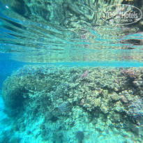 фото из отзыва ID 2745015