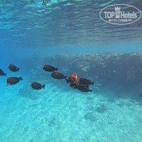 фото из отзыва ID 2745015