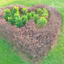 фото из отзыва ID 2745015