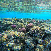 фото из отзыва ID 2745015