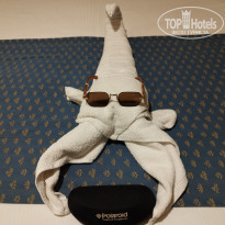 фото из отзыва ID 2745015