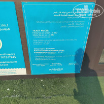 фото из отзыва ID 2745310