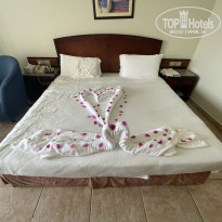 фото из отзыва ID 2745308