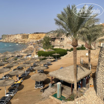 фото из отзыва ID 2745308