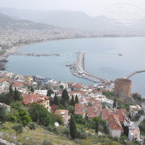 фото из отзыва ID 2745316