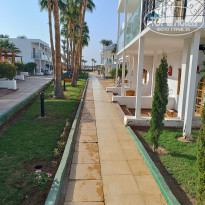 фото из отзыва ID 2745346