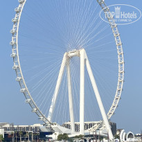 фото из отзыва ID 2744736