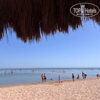 фото из отзыва ID 2745381