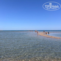 фото из отзыва ID 2745381