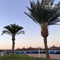 фото из отзыва ID 2745381