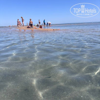 фото из отзыва ID 2745381