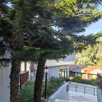 фото из отзыва ID 2745390