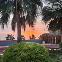 фото из отзыва ID 2745390