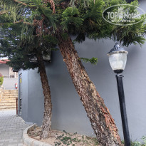 фото из отзыва ID 2745390