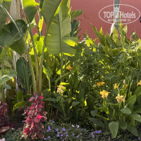 фото из отзыва ID 2745339