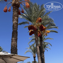 фото из отзыва ID 2745339