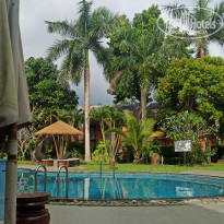 фото из отзыва ID 2745419