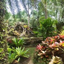 фото из отзыва ID 2745419