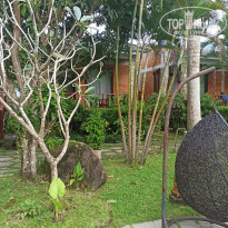 фото из отзыва ID 2745419