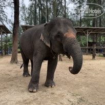 фото из отзыва ID 2745420