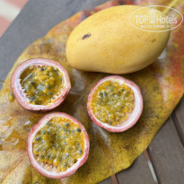 фото из отзыва ID 2745420