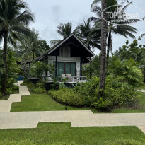 фото из отзыва ID 2745420