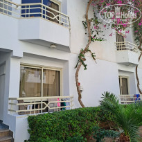 фото из отзыва ID 2745500