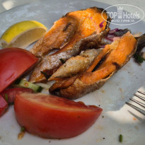 фото из отзыва ID 2745503