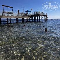 фото из отзыва ID 2745511