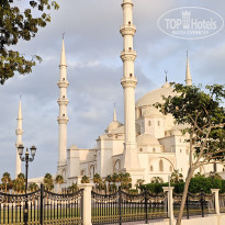 фото из отзыва ID 2745495