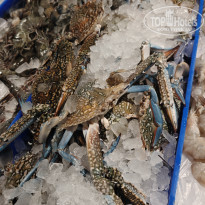 фото из отзыва ID 2745495