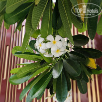 фото из отзыва ID 2745495