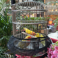 фото из отзыва ID 2745504