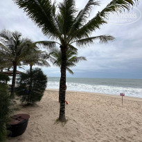 фото из отзыва ID 2745542