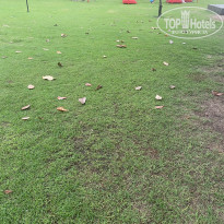 фото из отзыва ID 2745575