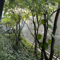 фото из отзыва ID 2745575