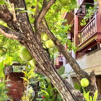 фото из отзыва ID 2745579