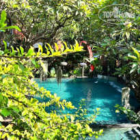 фото из отзыва ID 2745579